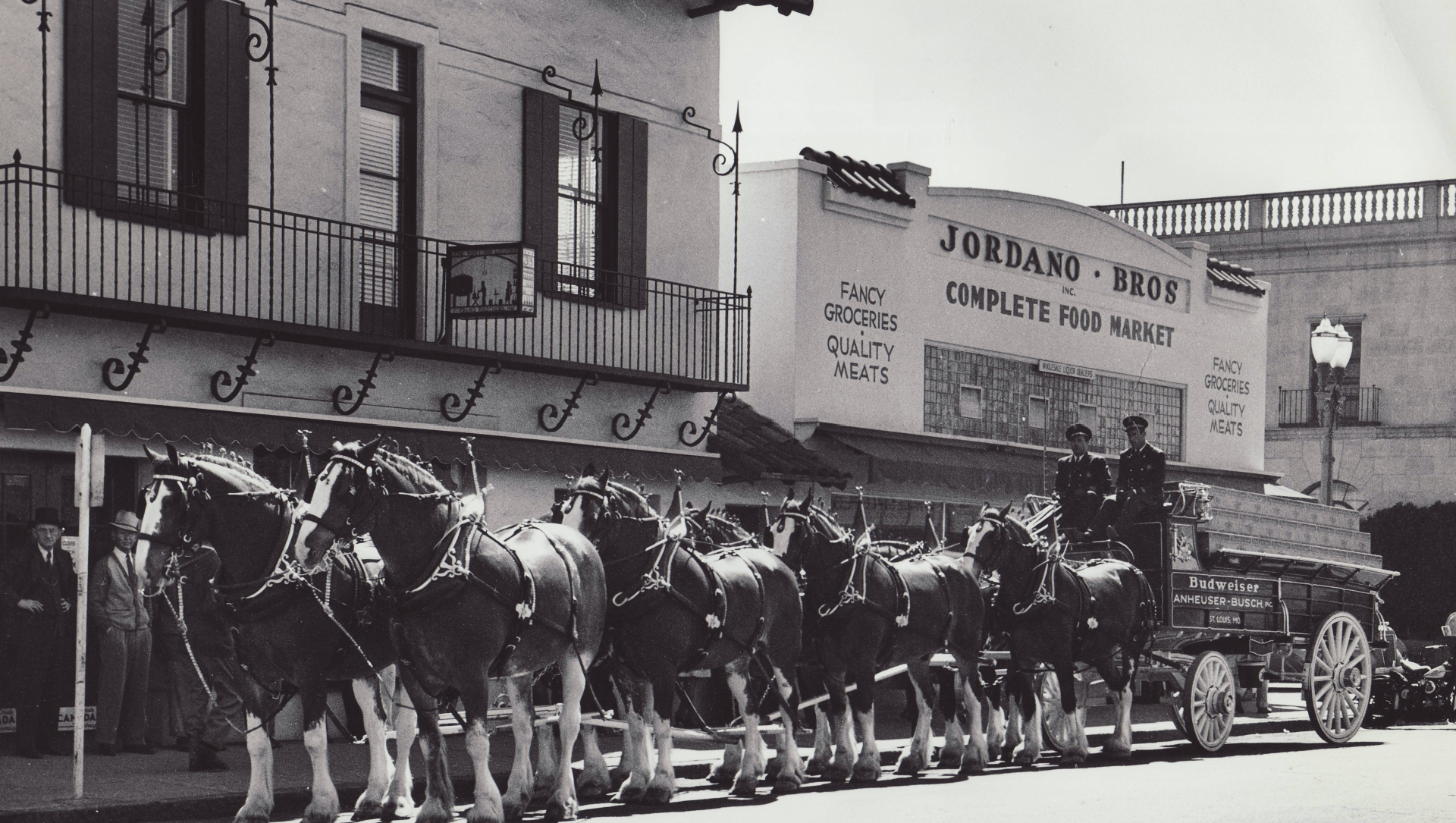 Clydesdales